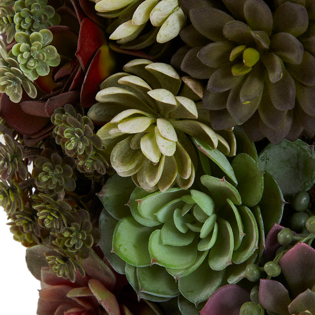 Green Framed Succulents (A+D)