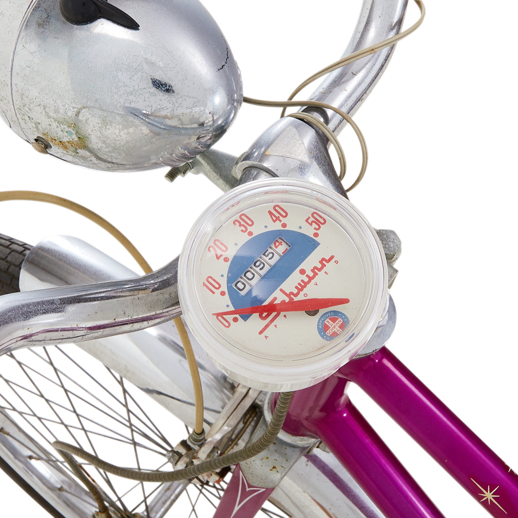Purple Schwinn "Twinn" Tandem Bicycle