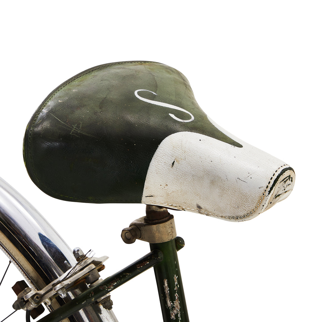 Green Schwinn Cruiser Bike