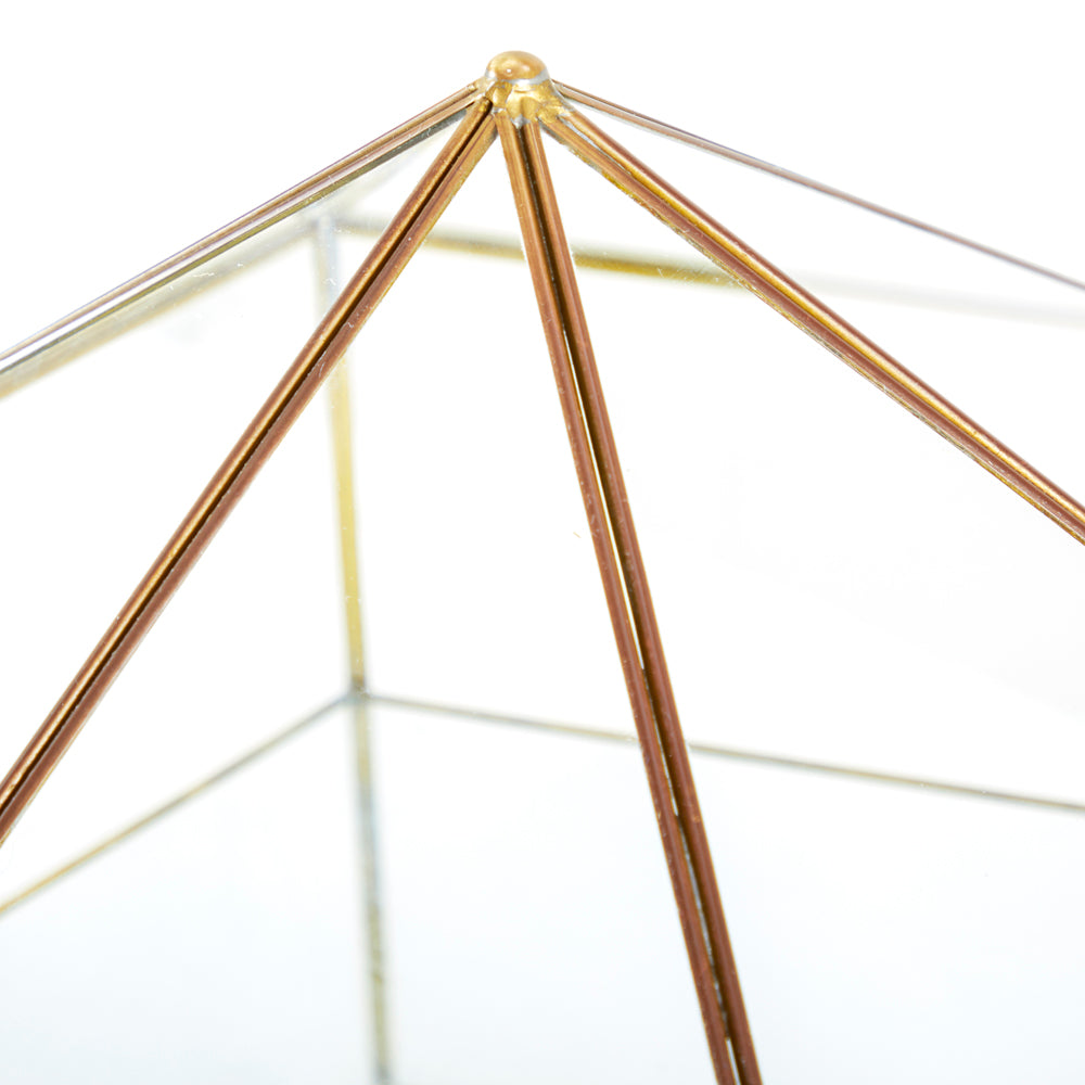 Six Sided Glass Case