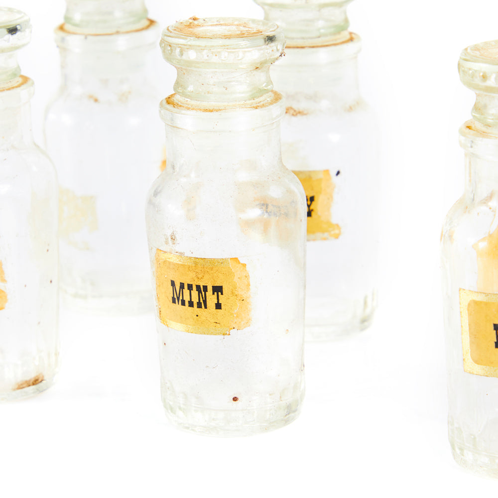 Glass Vintage Labeled Spice Containers Set of 8