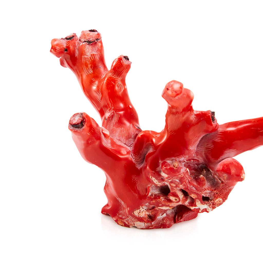 Red Coral Sculpture Set of 2