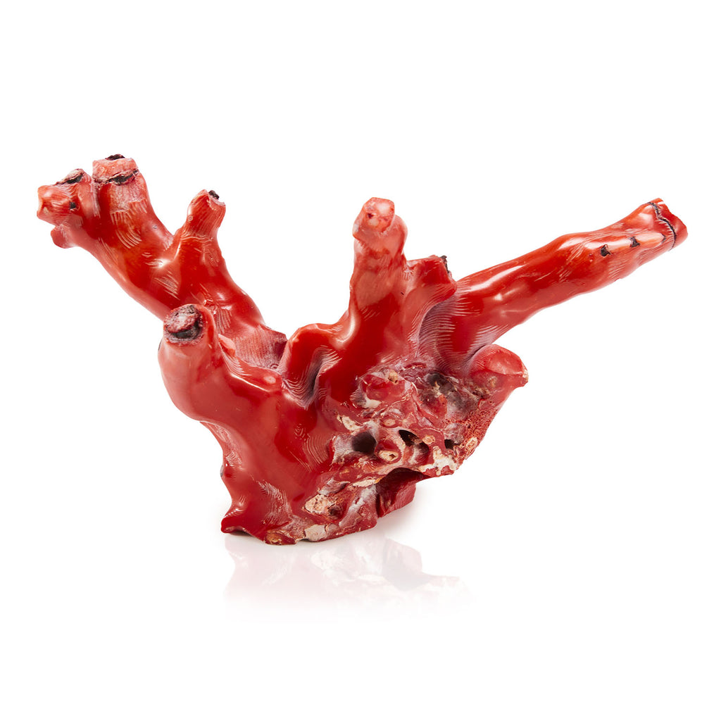 Red Coral Sculpture Set of 2