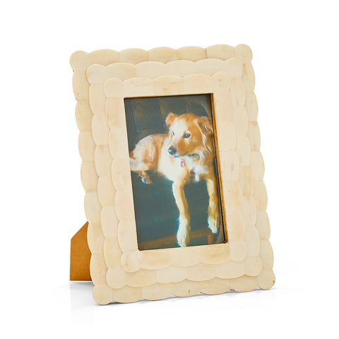 00.38 (A+D) Dog Photograph (9" x 7")