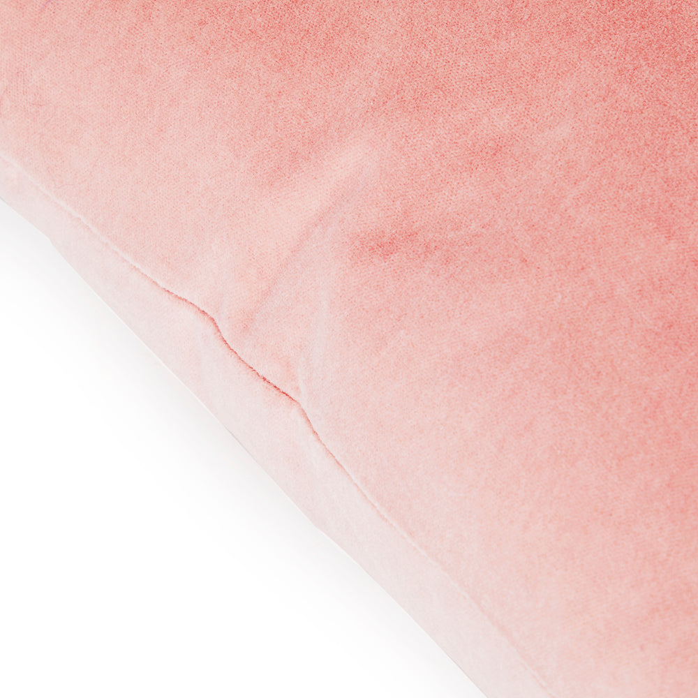 Muted Pink Velvet Pillow