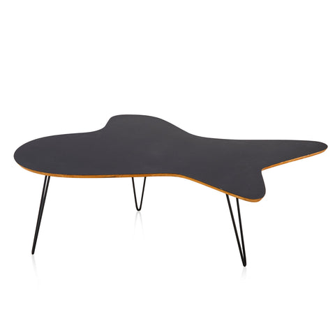 Black Amoeba Coffee Table