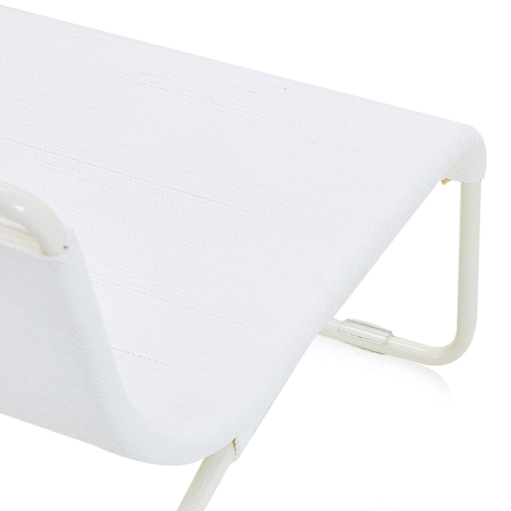 White Case Study #22 Lounge Chair with White Frame