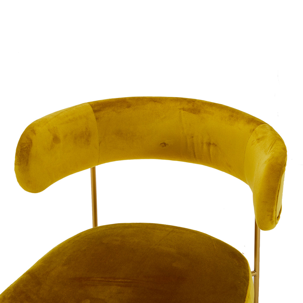 Yellow Velvet & Gold Dining Chair