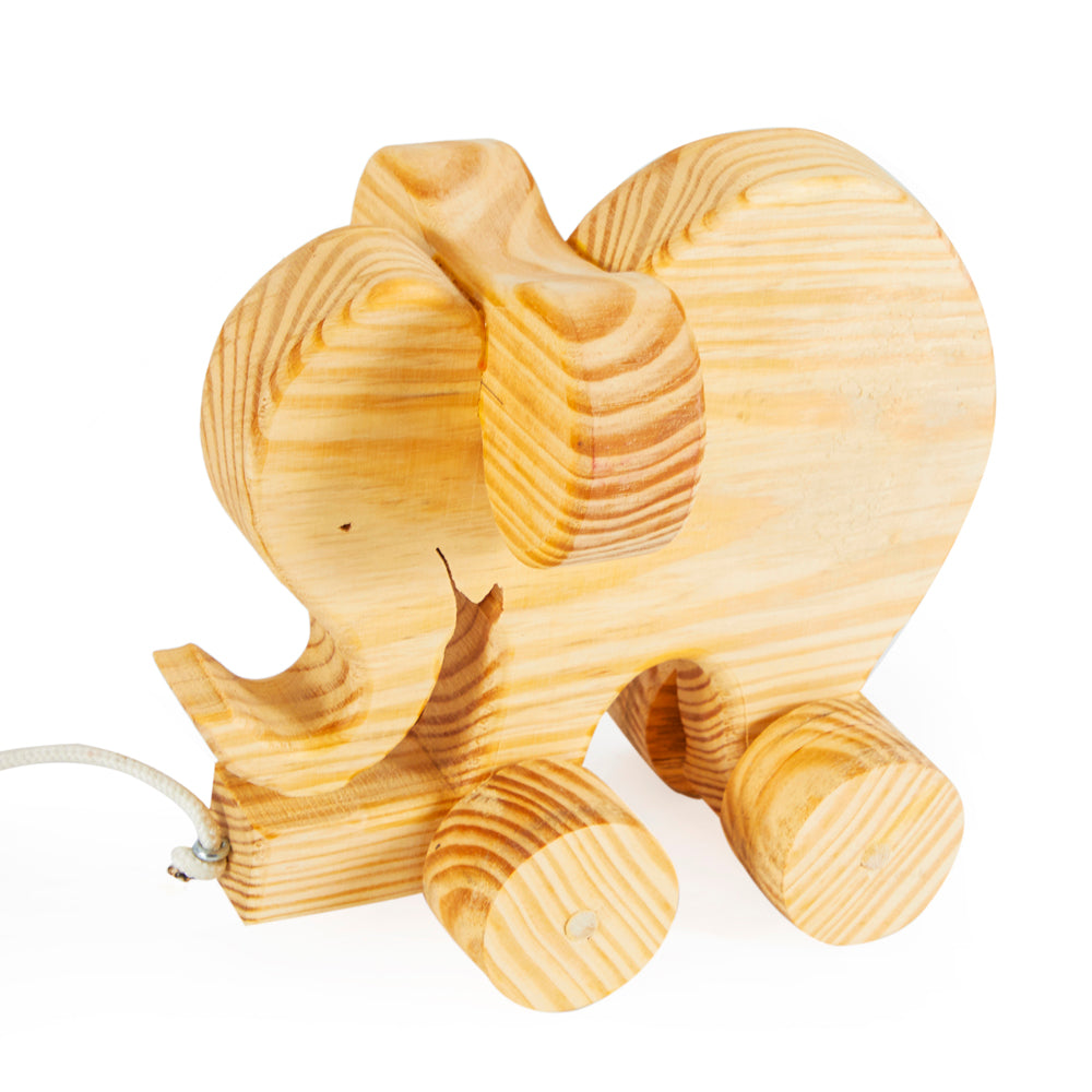 Wooden Animal Toy Set (A+D)