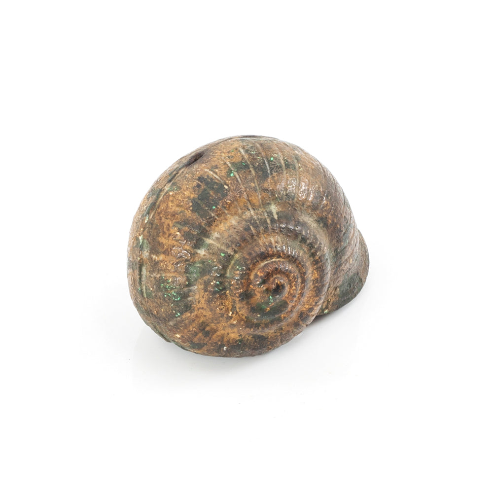 Brown Metal Shell (A+D)