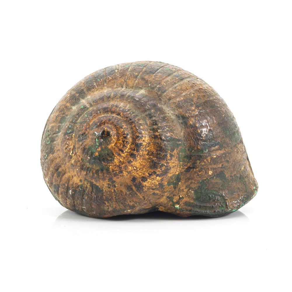 Brown Metal Shell (A+D)
