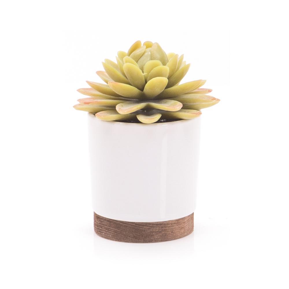 White Ceramic Pot with Succulent Small (A+D)