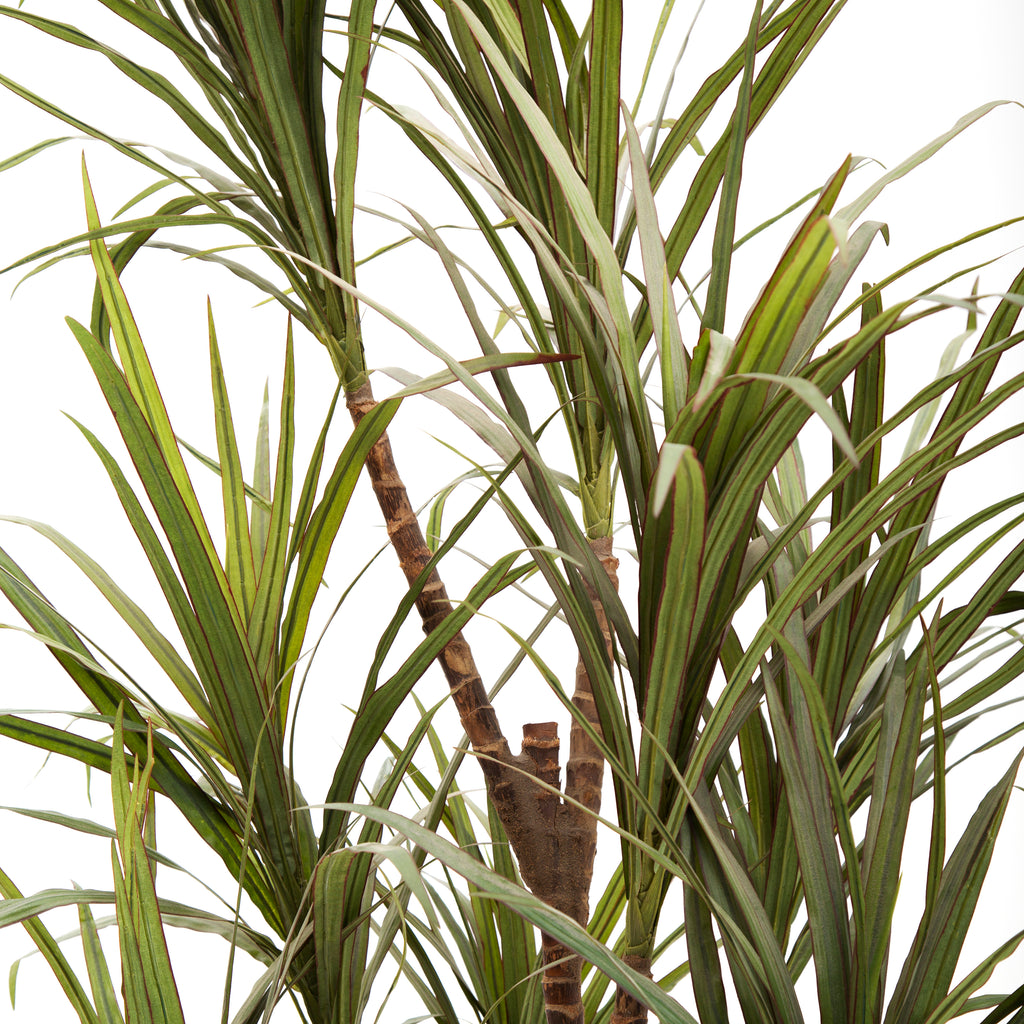 Large Faux Cat Palm Plant
