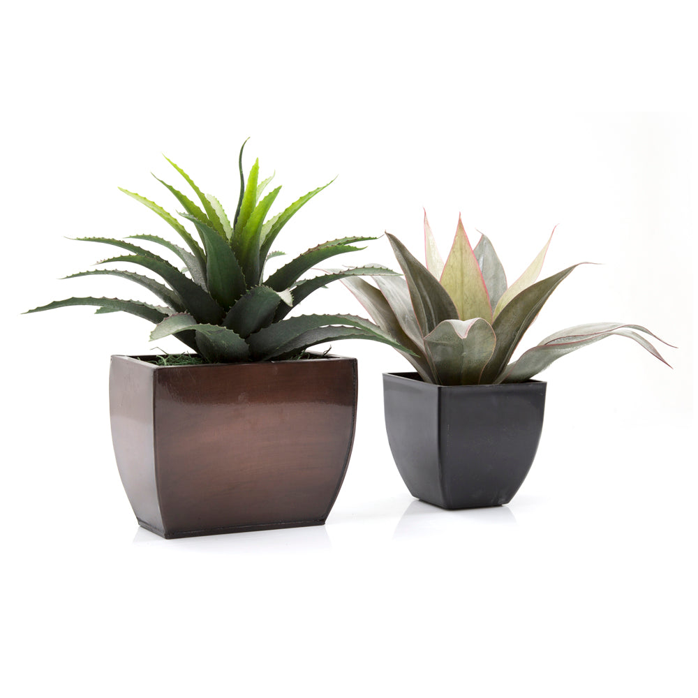Black and Brown Planter