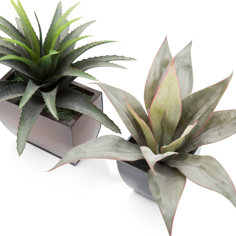 Black and Brown Planter