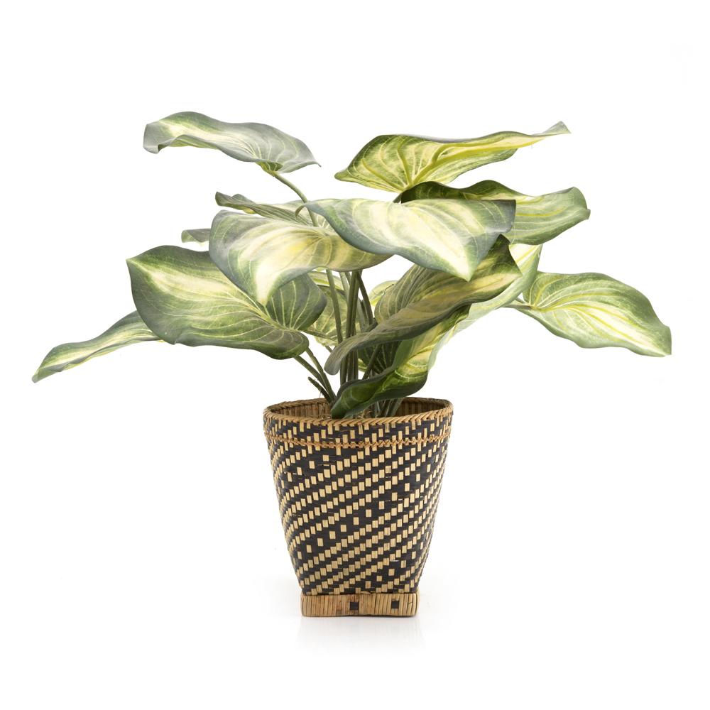 Brown and Tan Woven Wicker Basket with Faux Hosta Plant (A+D)