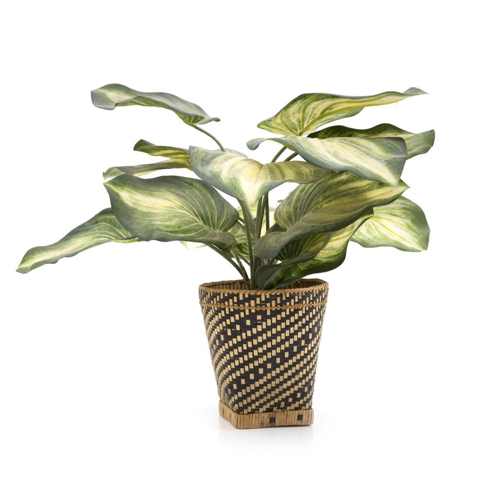 Brown and Tan Woven Wicker Basket with Faux Hosta Plant (A+D)
