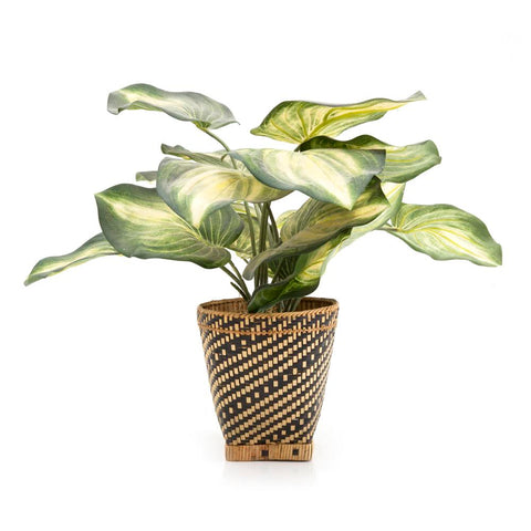 Brown and Tan Woven Wicker Basket with Faux Hosta Plant (A+D)