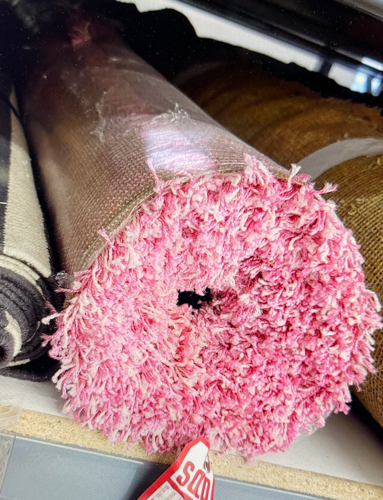 Pink Rug