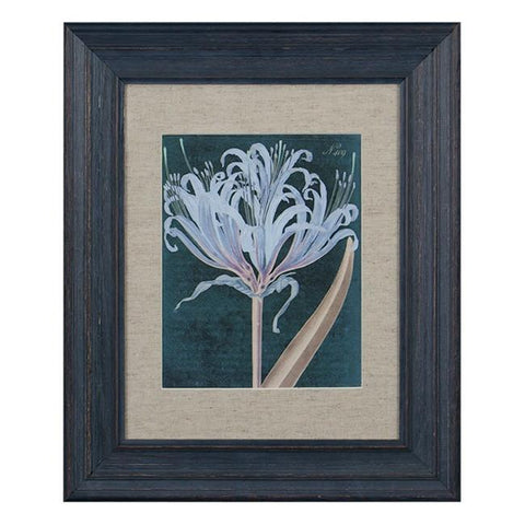 0219 (A+D) Botanical Blue