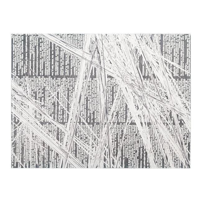 0311 (A+D) B/W Dictionary (24" x 18")