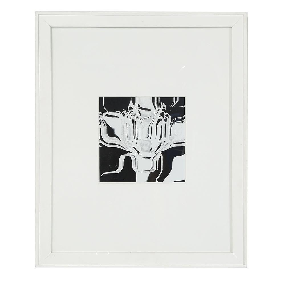 0184 (A+D) 1798 Botanical White (18.5" x 22.5")
