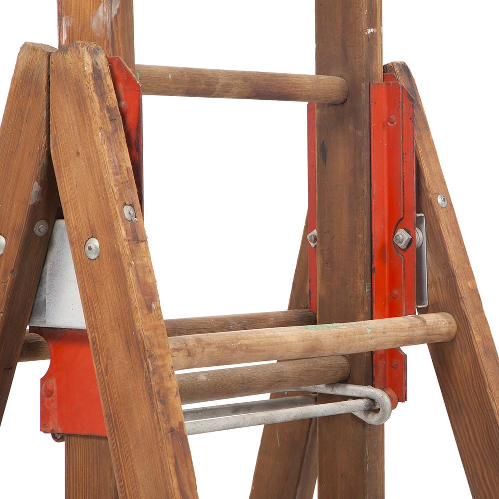 Fruit Picking Ladder