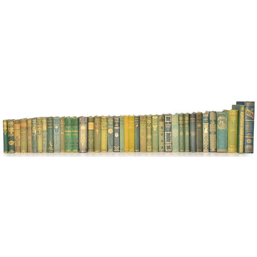 Books - Misc Literature