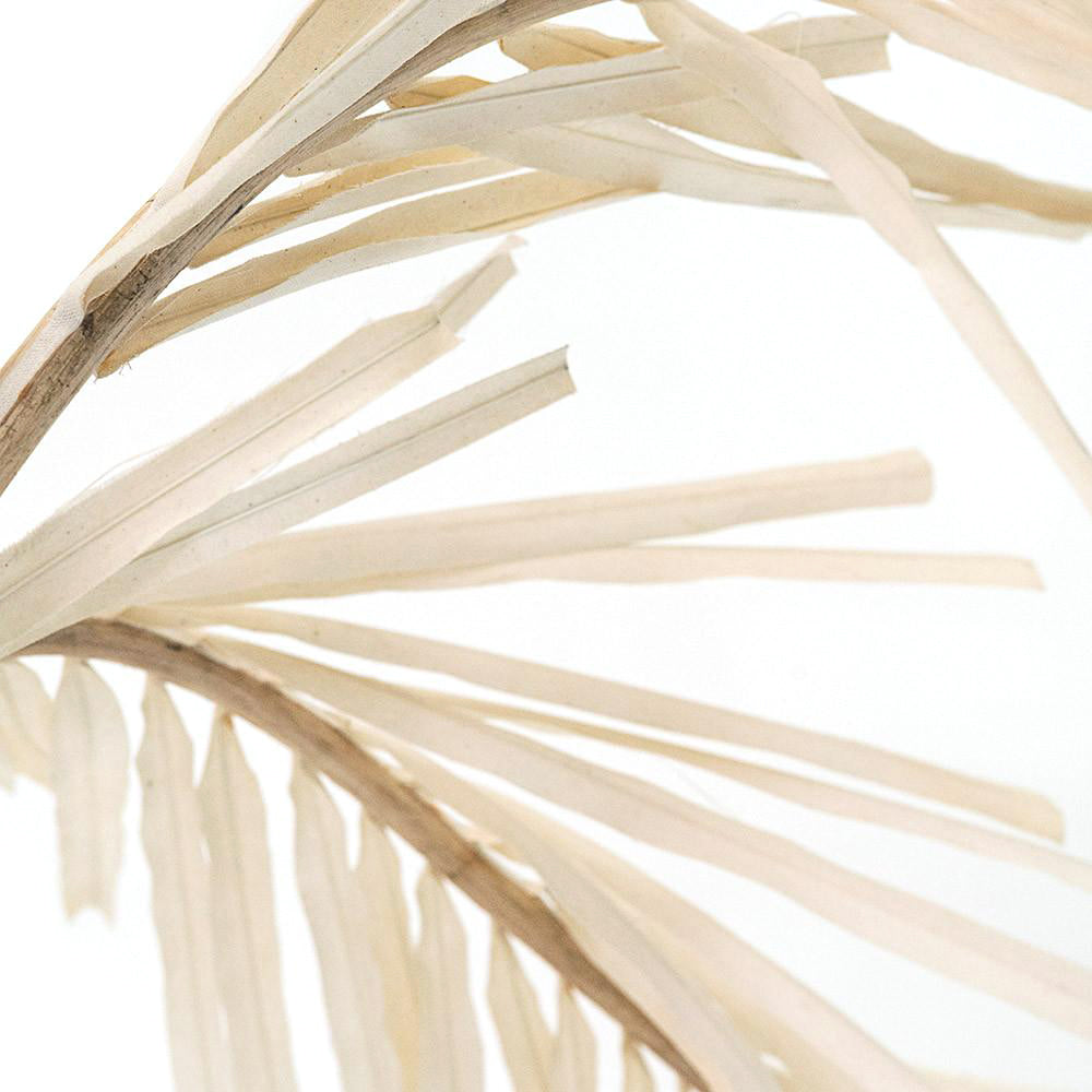 Huge Cream Fabric Palm Tree