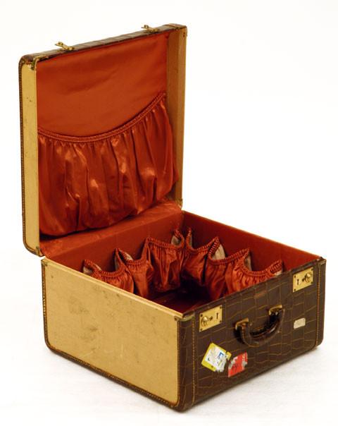 Brown Alligator and Tan Suitcase