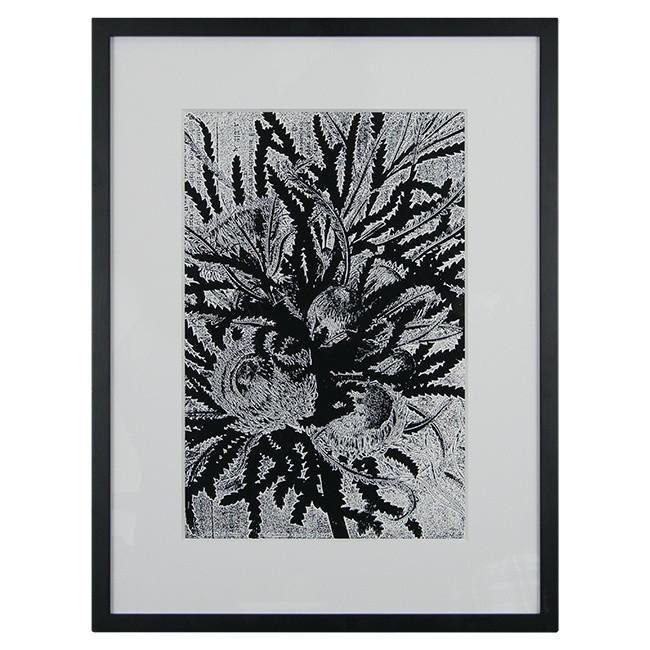 0179 (A+D) Dryandra Black