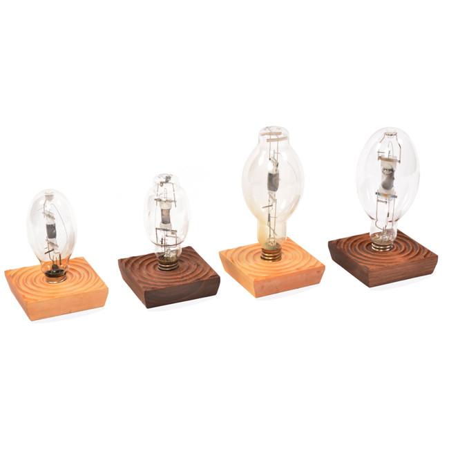 Bulb in Dark Wood Table Light - Small