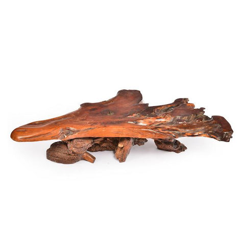 Large Wood Slab Coffee Table
