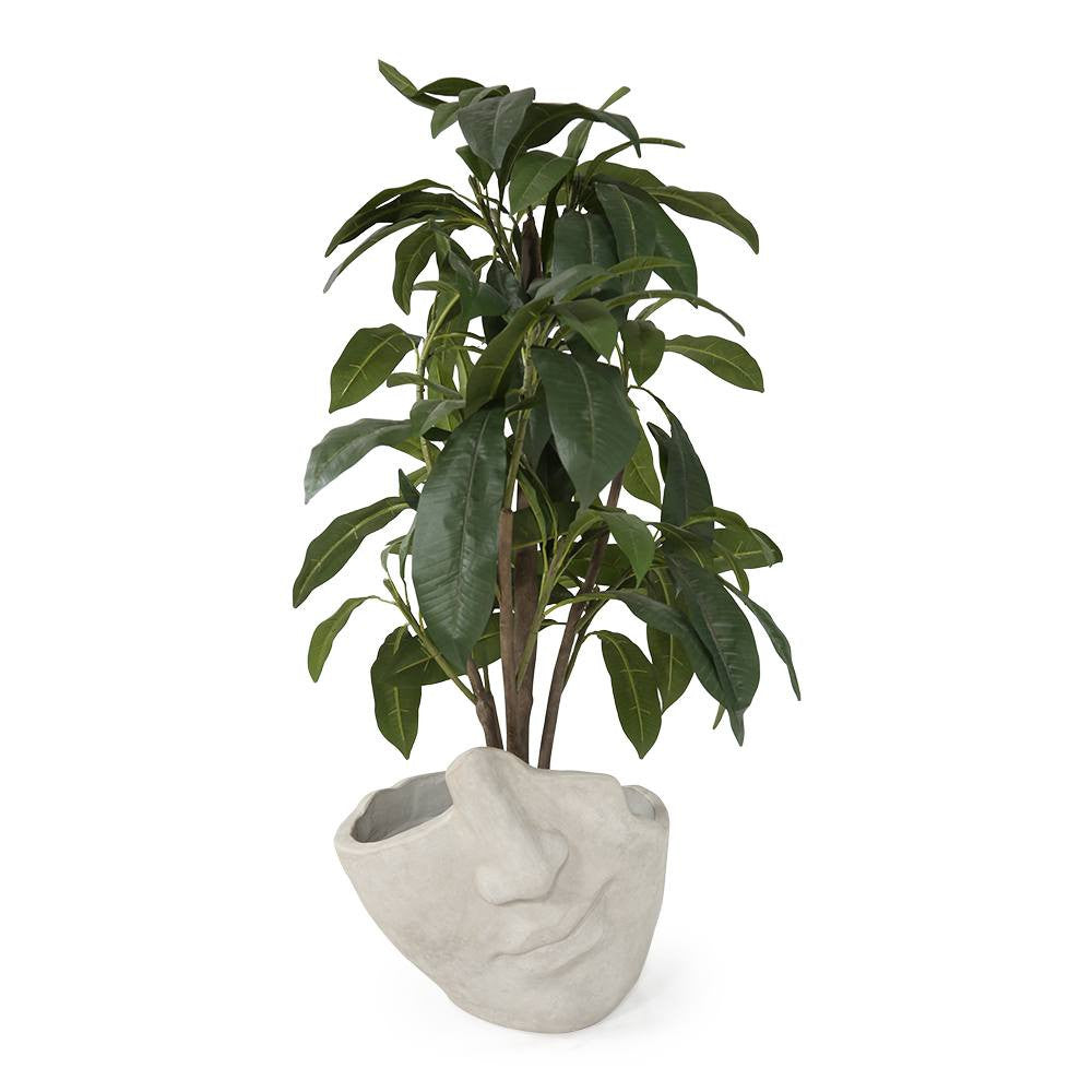 Broken Face Planter